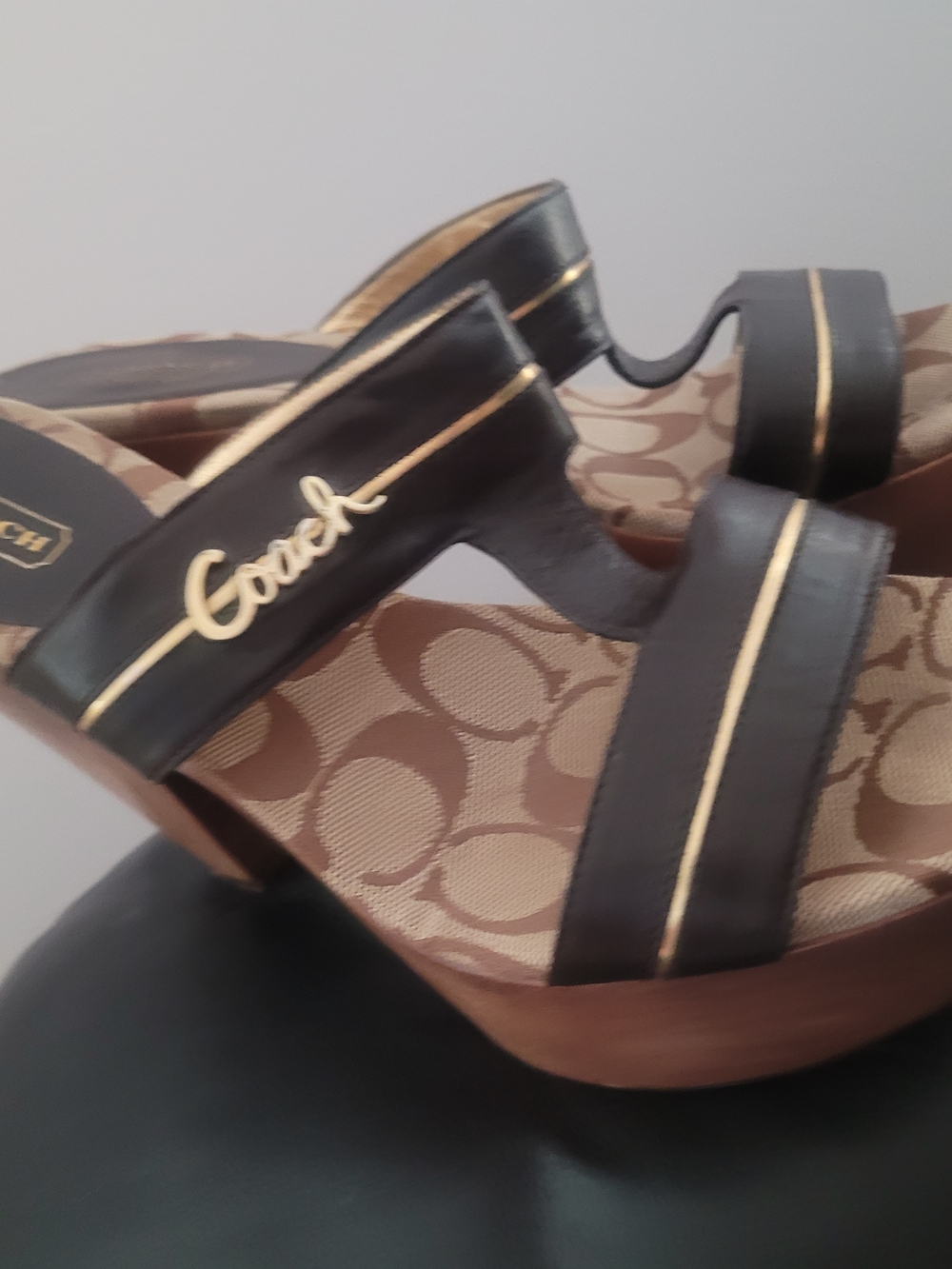 Coach Black & Gold Signature Platform Sandal